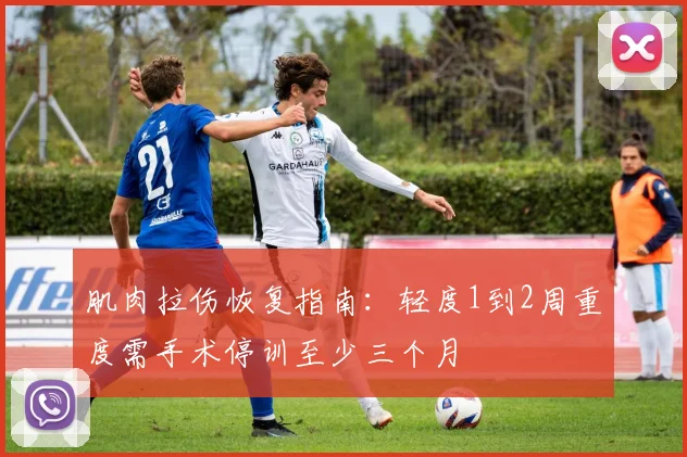 肌肉拉伤恢复指南：轻度1到2周重度需手术停训至少三个月